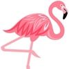 random_flamingo